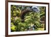 Moon Bridge Over a Small Creek-George Oze-Framed Photographic Print