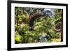 Moon Bridge Over a Small Creek-George Oze-Framed Photographic Print