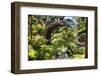 Moon Bridge Over a Small Creek-George Oze-Framed Premium Photographic Print