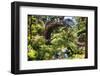 Moon Bridge Over a Small Creek-George Oze-Framed Premium Photographic Print