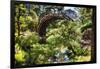 Moon Bridge Over a Small Creek-George Oze-Framed Photographic Print