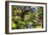 Moon Bridge Over a Small Creek-George Oze-Framed Photographic Print