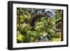 Moon Bridge Over a Small Creek-George Oze-Framed Photographic Print