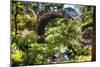 Moon Bridge Over a Small Creek-George Oze-Mounted Photographic Print