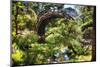 Moon Bridge Over a Small Creek-George Oze-Mounted Photographic Print