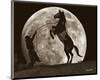 Moon Dance-Barry Hart-Mounted Art Print