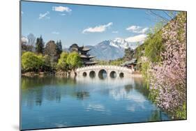 Moon Embracing Pavilion and Suocui Bridge at Black Dragon Pool in Jade Spring Park, Lijiang, Yunnan-Andreas Brandl-Mounted Photographic Print