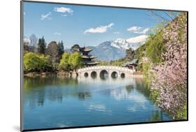 Moon Embracing Pavilion and Suocui Bridge at Black Dragon Pool in Jade Spring Park, Lijiang, Yunnan-Andreas Brandl-Mounted Photographic Print