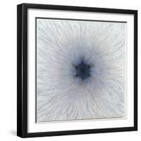 Moon Flower 1, 2002-Evelyn Williams-Framed Giclee Print