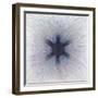 Moon Flower 2, 2002-Evelyn Williams-Framed Giclee Print