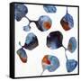 Moon Flower Two-Jan Weiss-Framed Stretched Canvas