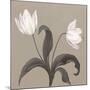 Moon Flowers II-Mimi Roberts-Mounted Giclee Print