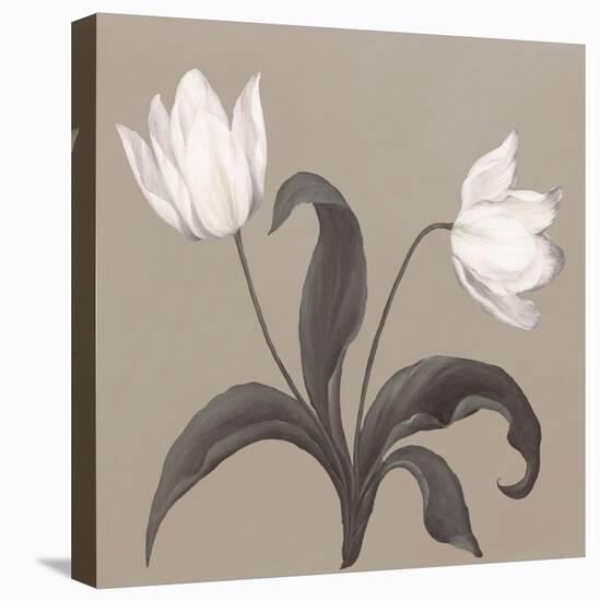 Moon Flowers II-Mimi Roberts-Stretched Canvas