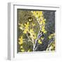 Moon Flowers II-James Burghardt-Framed Art Print