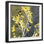 Moon Flowers II-James Burghardt-Framed Art Print