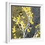 Moon Flowers II-James Burghardt-Framed Art Print