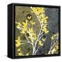 Moon Flowers II-James Burghardt-Framed Stretched Canvas