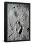 Moon Footprint (Buzz Aldrin Bootprint) Art Poster Print-null-Framed Poster