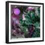 Moon in Bloom-Mindy Sommers-Framed Giclee Print