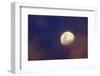 Moon in clouds-null-Framed Photographic Print