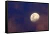 Moon in clouds-null-Framed Stretched Canvas