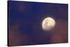 Moon in clouds-null-Stretched Canvas