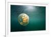 Moon Jellyfish, Alaska-Paul Souders-Framed Photographic Print