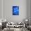 Moon Jellyfish-Richard T. Nowitz-Framed Stretched Canvas displayed on a wall