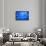 Moon Jellyfish-Richard T. Nowitz-Framed Stretched Canvas displayed on a wall