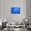 Moon Jellyfish-Richard T. Nowitz-Stretched Canvas displayed on a wall