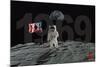 Moon Landing 50th-null-Mounted Poster