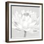 Moon Lily - Fable-Kate Mawdsley-Framed Giclee Print