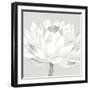 Moon Lily - Fable-Kate Mawdsley-Framed Giclee Print