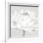 Moon Lily - Fable-Kate Mawdsley-Framed Giclee Print