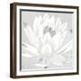 Moon Lily - Found-Kate Mawdsley-Framed Giclee Print