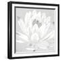 Moon Lily - Found-Kate Mawdsley-Framed Giclee Print