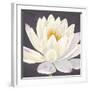 Moon Lily I-Kate Mawdsley-Framed Giclee Print