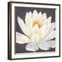 Moon Lily I-Kate Mawdsley-Framed Giclee Print