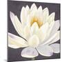 Moon Lily I-Kate Mawdsley-Mounted Giclee Print