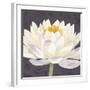 Moon Lily II-Kate Mawdsley-Framed Giclee Print