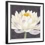 Moon Lily II-Kate Mawdsley-Framed Giclee Print