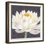 Moon Lily II-Kate Mawdsley-Framed Giclee Print