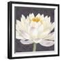 Moon Lily II-Kate Mawdsley-Framed Giclee Print