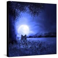 Moon Night And Wolf-Ata Alishahi-Stretched Canvas