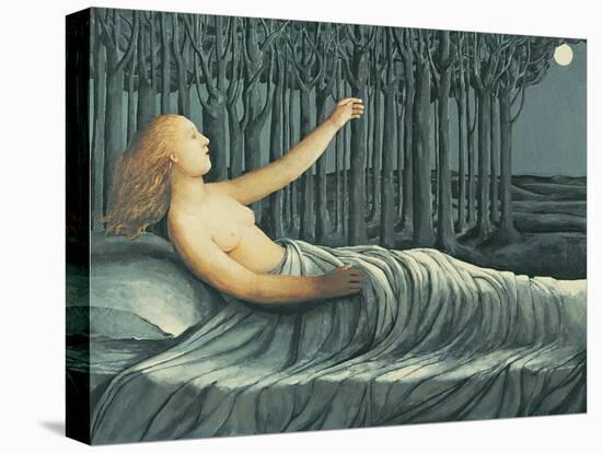 Moon on my Face, 1997-Evelyn Williams-Stretched Canvas