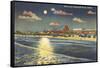 Moon over Jacksonville, Florida-null-Framed Stretched Canvas