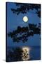 Moon over Lake-richistory-Stretched Canvas