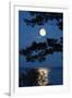 Moon over Lake-richistory-Framed Photographic Print