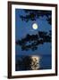 Moon over Lake-richistory-Framed Photographic Print