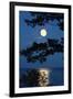 Moon over Lake-richistory-Framed Photographic Print